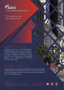 presentacion-AES